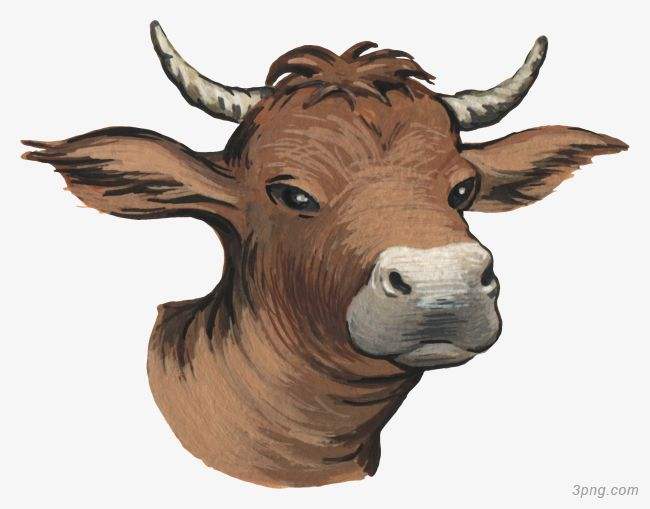 吉林市舒蘭市天德鄉(xiāng)反芻技術(shù)交流會圓滿成功！