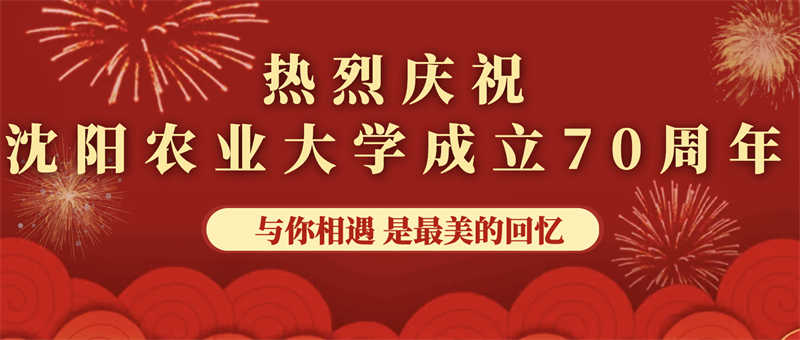 愛心捐贈助學，真情回報母校